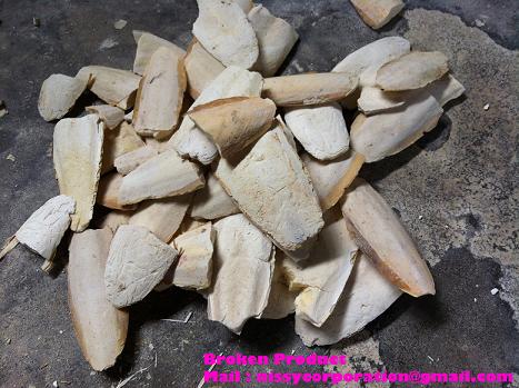 Manufacturers Exporters and Wholesale Suppliers of Broken Cuttle Fish Bone Alappuzha Kerala